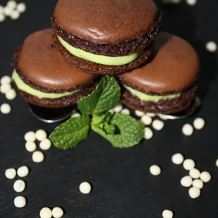 Chatellerie De Schoebeque מלון 4*